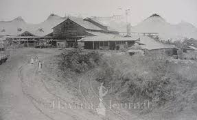 sugar plantation