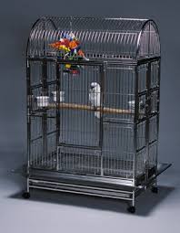 bird cage feeder