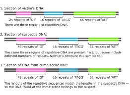 dna finger printing
