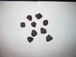 brussel sprout seeds