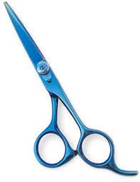 professional haircutting scissors