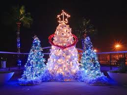 christmas tree outdoor
