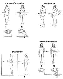 shoulder exercises