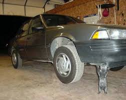 funny car pics