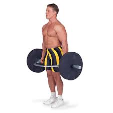 deadlift trap bar