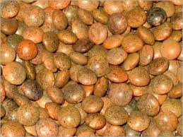 pulses