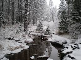 ben peoples california