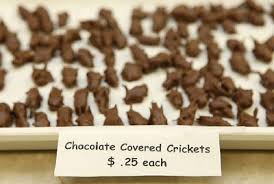 candy insects