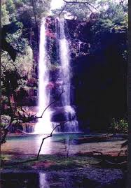 rio de colores