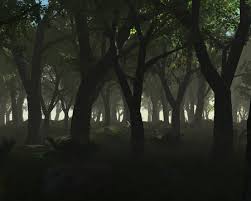 dark dark wood