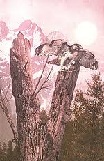 animorphs the encounter