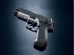 sig sauer 22 cal