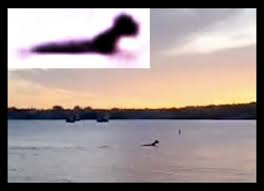 champ lake monster