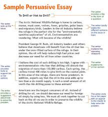 example essay