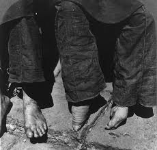 chinese lotus shoes