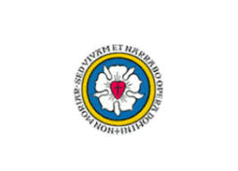 lutheran flag