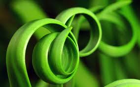loops