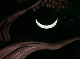 cheshire cat smile image