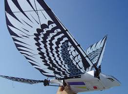 radio controlled bird