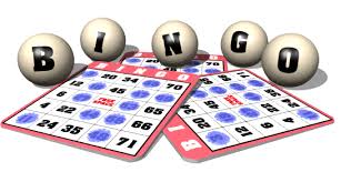 bingo software