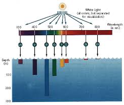 light absorption