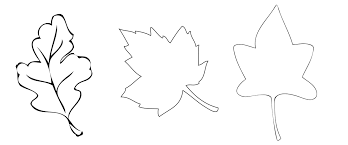 fake 2 dollar bill printables