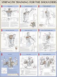 dumbbell press