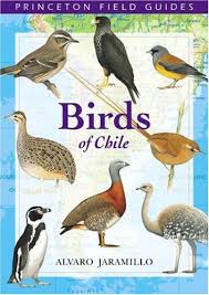 books about birds