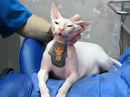 rare tattoos