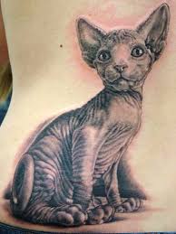 cat tattoo