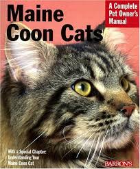 large cat breeds