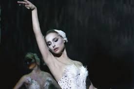 white swan black swan