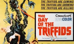 the day of the triffids film