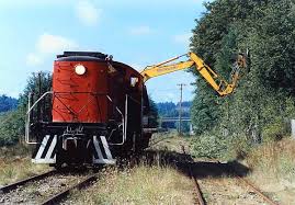 vegetation management