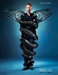 dr house season 6