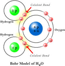 water molecule
