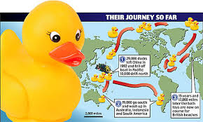 rubber ducks