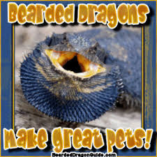 great pets