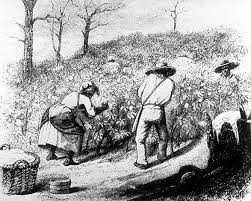 TSLA::This Honorable Body: