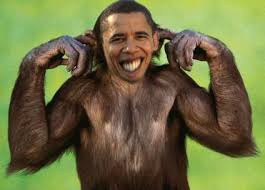 http://t0.gstatic.com/images?q=tbn:-XmA5baPSGCGcM:http://1stnews.org/images/michelle-obama-monkey.jpg&amp;t=1