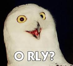 orly_owl.jpg&t=1