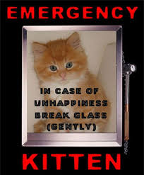 emerency-kittens.jpg&t=1