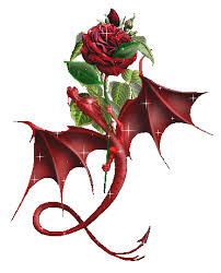 dragon / rose