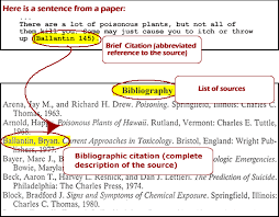 example of a bibliography