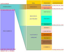1 revision, 61 KB