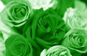 فنجان شاي Green-valentines-day-roses