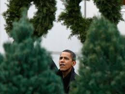 Christmas Tree Tax�to