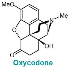 Oxycodone Structure