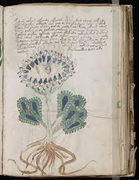 2: Voynich Manuscript