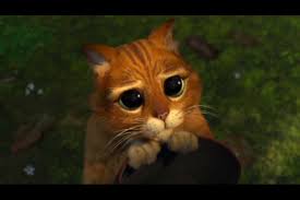 Puss in Boots Movie Plot